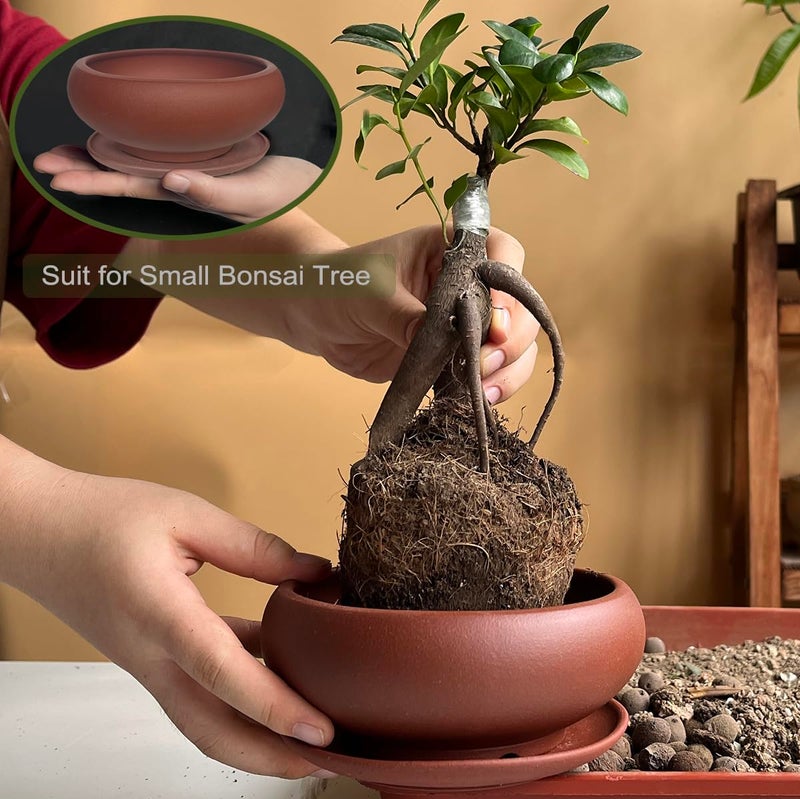 MUZHI 5.3â€ Round Ceramic Bonsai Starter Pots with Trays Set of 2 Brown and Red, Small Vintage Unglazed Succulent Pots with Saucers Minimalist Classic Mame Bonsai Planter with Drainage - Image 5