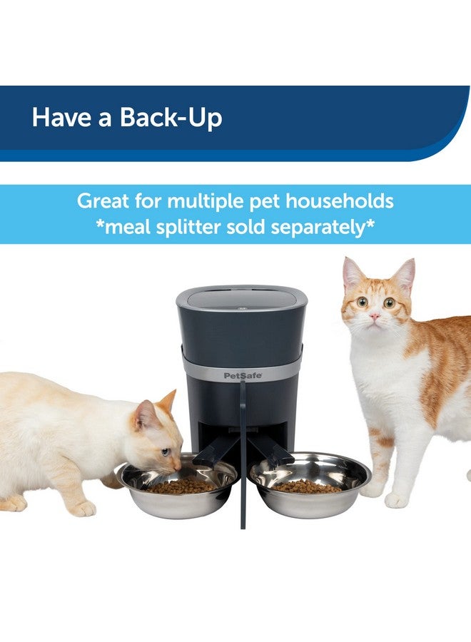 بيت سيف وعاء طعام للكلاب والقطط من الفولاذ المقاوم للصدأ من بيت سيف، رمادي، 5 أكواب - Image 4