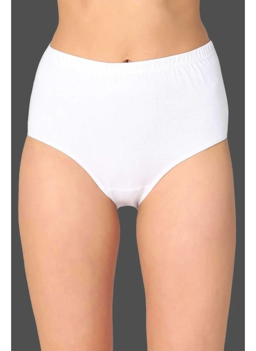 Gümüş Silver Women Ribana High Waist Bato Panties 3040/3041 - 12 Pieces