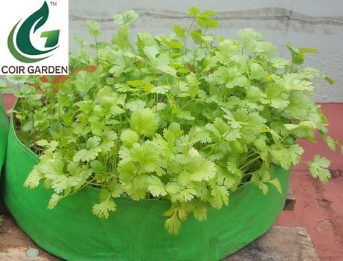 COIR GARDEN HDPE Grow Bags (18x6 inch, Pack of 5) - Image 5