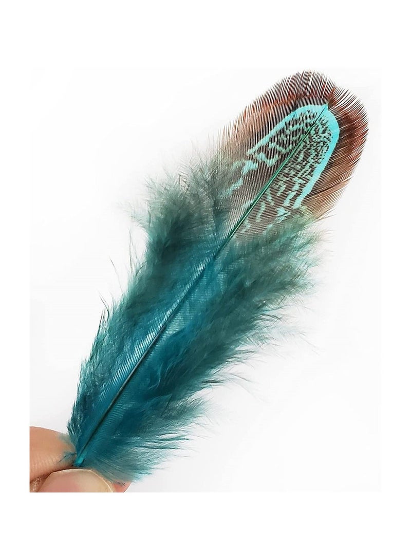 100 pcs Natural Pheasant Plumage Feathers 2-4 Inches Plumage Feathers - Image 2