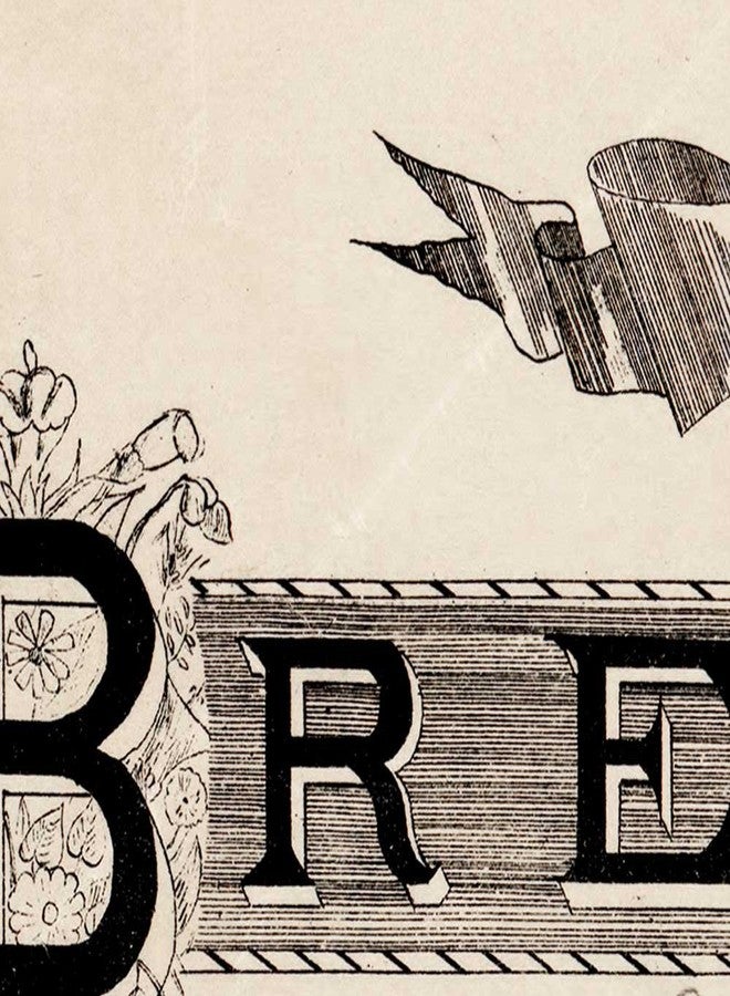 خرائط قديمة لمقاطعة بريفارد، فلوريدا، من تصميم ج. فرانسيس لو بارون، حوالي عام 1893 | ملصق فني مطبوع، ديكور حائط عتيق | 24 × 32 بوصة (610 × 813 مم) - Image 2