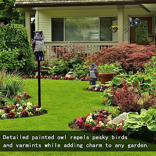 Hedoc 2 Pack Fake Owl Decoys to Scare Birds Away(15 inch), Rotating Head Sculptures, Nature Enemy Scarecrow Plastic Statues, Pest Repellent,Pigeon Deterrent Outdoor Yard, Garden Protectors - Image 3