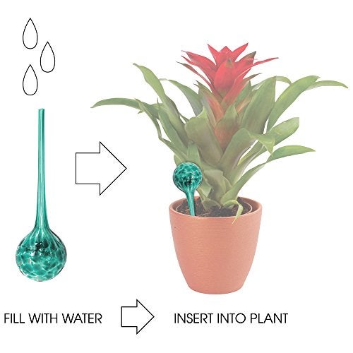 Wyndham House Plant Watering Globe Set, Set of 3, Indoor & Outdoor, Colorful Multicolored Hand-Blown Glass for Everyday Use - Image 4
