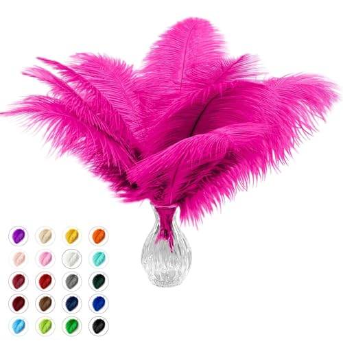 Piokio 10pcs Hot Pink Ostrich Feathers 10-12 inch (25-30cm) Bulk Feathers for Home Decoration and DIY Clothing and DIY Clothes Decoration, Gatsby Decorations - Image 1