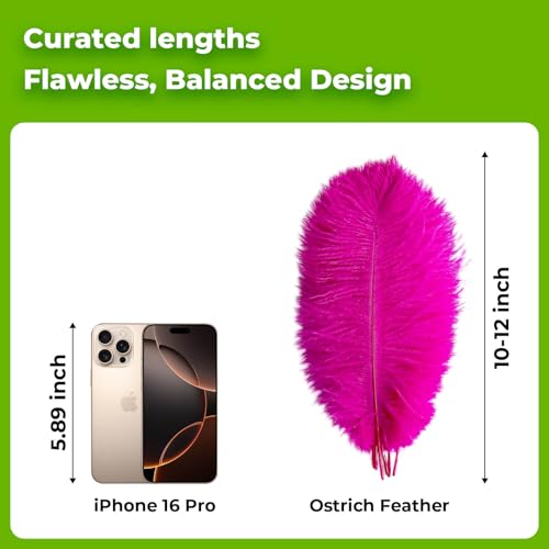 Piokio 10pcs Hot Pink Ostrich Feathers 10-12 inch (25-30cm) Bulk Feathers for Home Decoration and DIY Clothing and DIY Clothes Decoration, Gatsby Decorations - Image 2