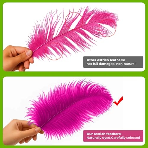 Piokio 10pcs Hot Pink Ostrich Feathers 10-12 inch (25-30cm) Bulk Feathers for Home Decoration and DIY Clothing and DIY Clothes Decoration, Gatsby Decorations - Image 3