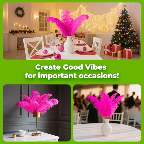 Piokio 10pcs Hot Pink Ostrich Feathers 10-12 inch (25-30cm) Bulk Feathers for Home Decoration and DIY Clothing and DIY Clothes Decoration, Gatsby Decorations - Image 4