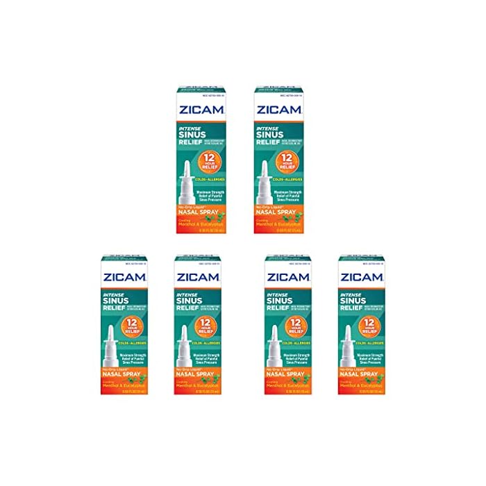 Zicam Intense Sinus Relief No-Drip Liquid Nasal Spray 0.50 FL OZ (Pack of 6) - Image 1