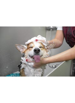 ARTERO Pretty Eyes. Eye Cleaner. Effectively Removes Tear Stains From The Tear Ducts Of Dogs And Cats, Ensuring A Clean And Healthy Appearance. 250 Ml Bottle For Regular Use.  - Image 3