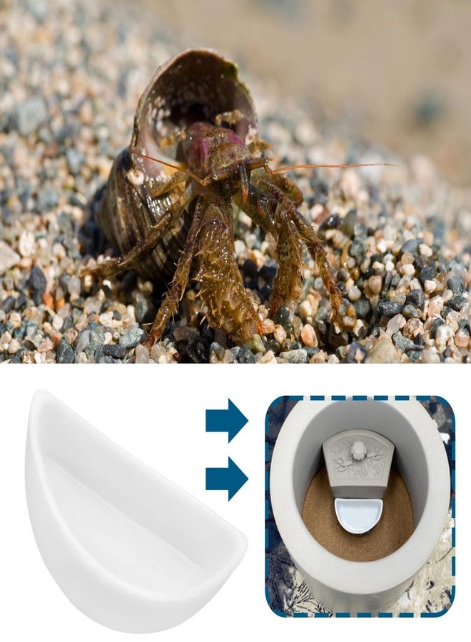 ECSiNG 6PCS Hermit Crab Mini Ceramic Dish 4.21x2x1.05cm Semicircle Shape Reptile Food Bowl for Spider Hermit Crab Tarantula Millipede White - Image 3
