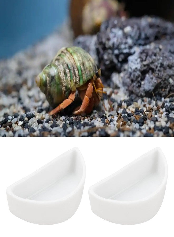 ECSiNG 6PCS Hermit Crab Mini Ceramic Dish 4.21x2x1.05cm Semicircle Shape Reptile Food Bowl for Spider Hermit Crab Tarantula Millipede White - Image 2