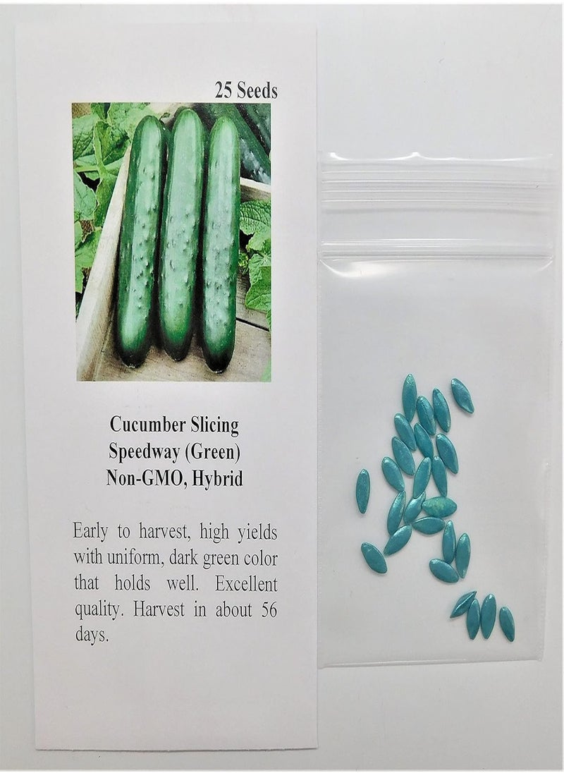 GGOOT - Cucumber Slicing Speedway 1424 (Green) 25 Non-GMO, Hybrid Seeds - Image 1