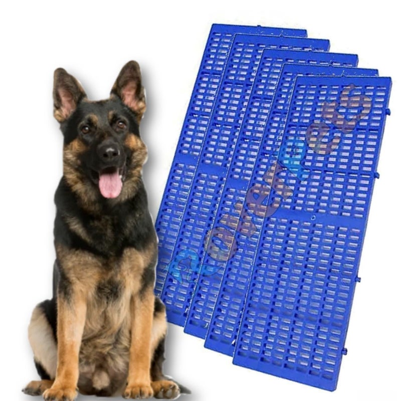 RoverPets Pet Plastic I Flooring Mat I for Dog/Cat/Rabbit/Goat Multipurpose Floor Mat 36x12 Inch (Blue, Dog MAT 5PCS) - Image 1