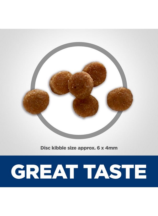 هيلز ساينس دايت كيتن، تغذية ممتازة للقطط، طعام جاف للقطط، خالي من الذرة والقمح وفول الصويا والدجاج والأرز البني، كيس 6 أرطال - Image 2