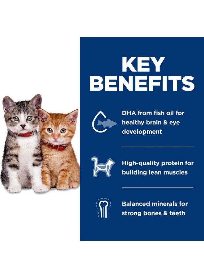 هيلز ساينس دايت كيتن، تغذية ممتازة للقطط، طعام جاف للقطط، خالي من الذرة والقمح وفول الصويا والدجاج والأرز البني، كيس 6 أرطال - Image 3