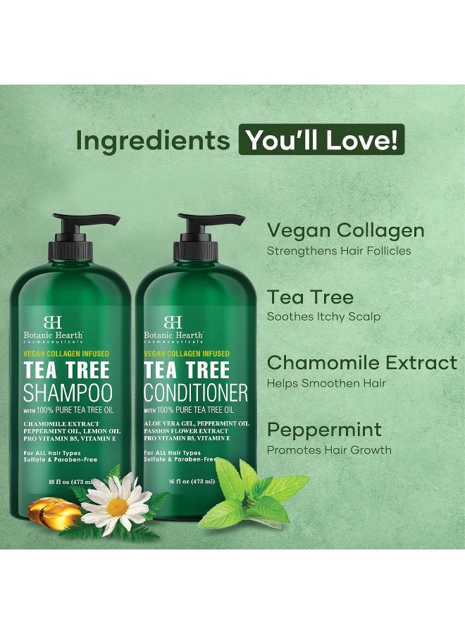 بوتانيك هيرث مجموعة شامبو وبلسم للشعر المجعد | لفك تشابك الشعر وتحديد التجعيدات وتحسينها | مع زيت الجوجوبا وفيتامين اي | خالي من الكبريتات | 2 × 473 مل بوتانيك هيرث - Image 5