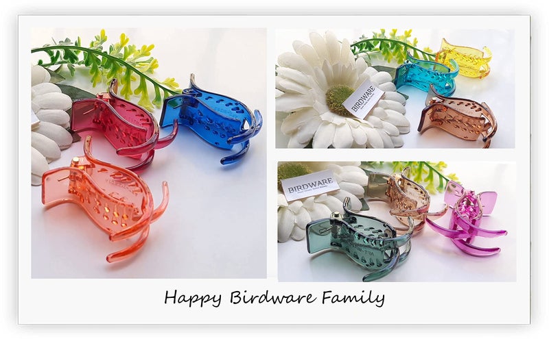 BIRDWARE hair Clips For Women 3 Pcs Butterfly hair Clips hair Accessories For Girls Claw Clips Fancy Korean Clutch Stylish Small hair clutchers - Image 5