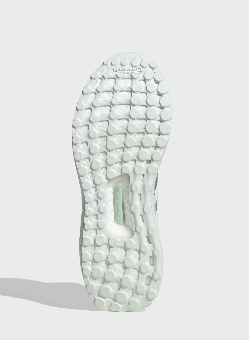 Adidas Ultraboost 1.0 W