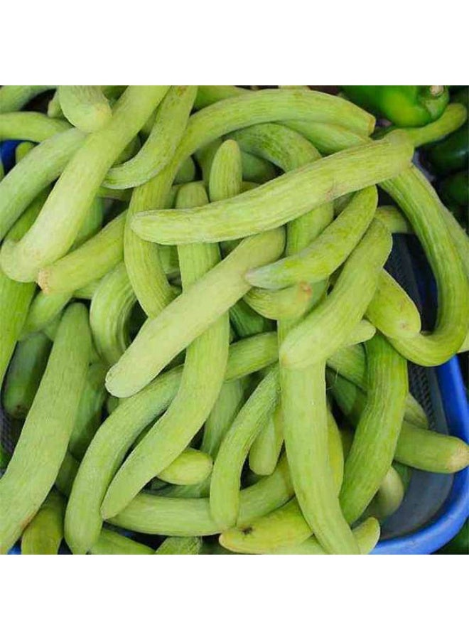 Long Melon Kakri Selection Vegetable Seeds