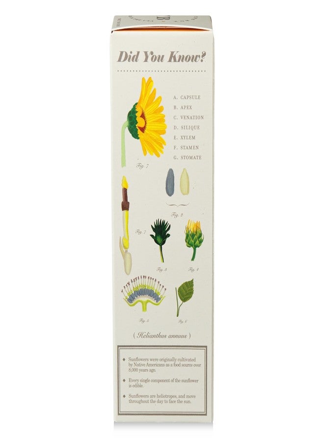 كوبو موزع العطور KOBO Plant The Box Sweet Sunflower Reed Diffuser (4 أونصة سائلة) - Image 5