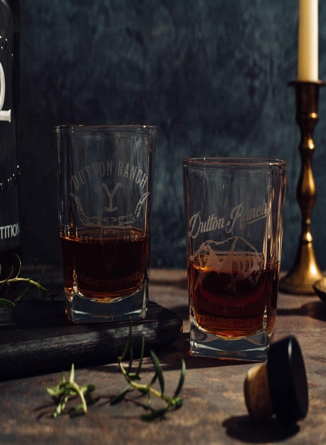 سيلفر بوفالو أكواب ويسكي صغيرة من توينك يلوستون داتون رانش، سعة 9 أونصات، طقم من قطعتين | أكواب صغيرة للويسكي للبار المنزلي والمطبخ - Image 3