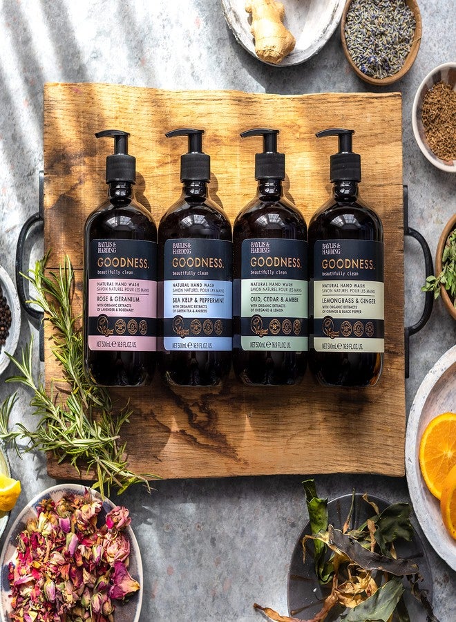 Baylis & Harding صابون يد سائل بايليس وهاردينغ مع موزع، جودنس، ورد وزهرة الجيرانيوم، 16.9 أونصة/500 مل (3 عبوات) - Image 5