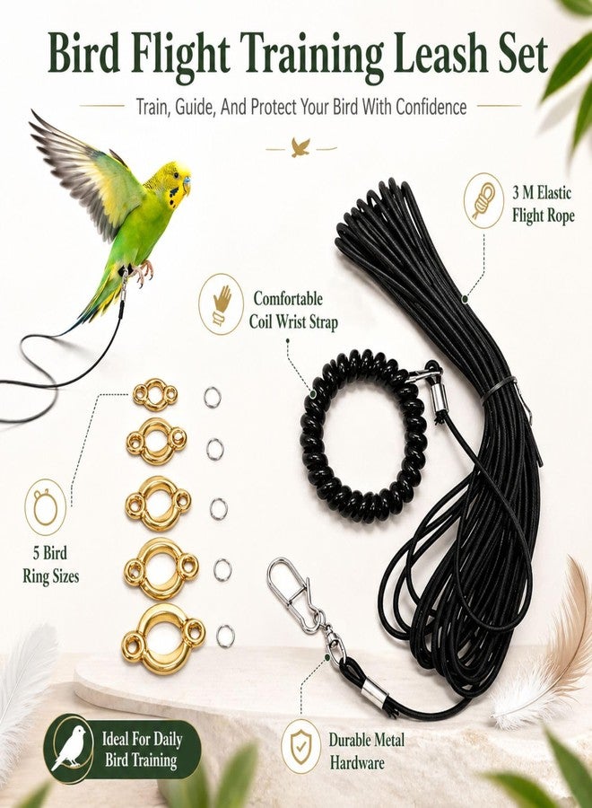 BendJoy® 300 cm Bird Harness with 5 Different Size Parrot Ring & Anti Lost Bracelet for Cockatiels, Parrots, Small Birds Multiple Ring Sizes | Durable Elastic Rope | Safe Outdoor Training Control - Image 4