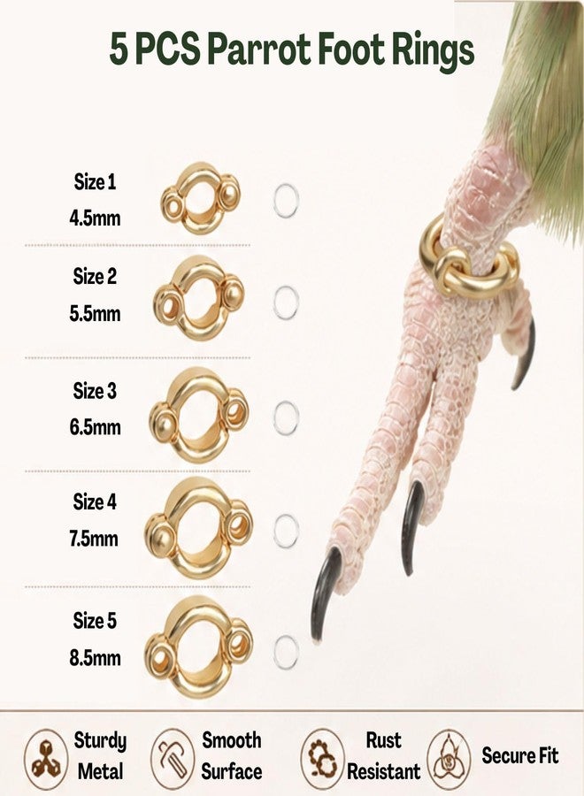 BendJoy® 300 cm Bird Harness with 5 Different Size Parrot Ring & Anti Lost Bracelet for Cockatiels, Parrots, Small Birds Multiple Ring Sizes | Durable Elastic Rope | Safe Outdoor Training Control - Image 3