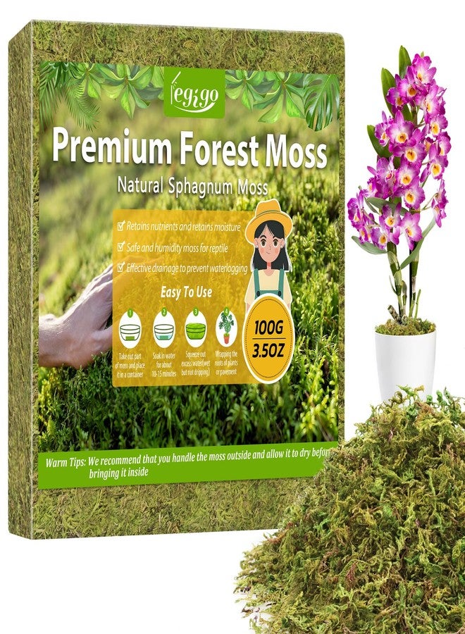 Legigo 3.5OZ Premium Forest Moss for Plants, 4QT Natural Green Sphagnum Moss for Potted Plants, Dried Orchid Moss Potting Mix, Soft Real Moss Decorative for Houseplants Orchids Succulents Reptiles - Image 1
