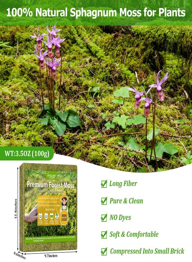 Legigo 3.5OZ Premium Forest Moss for Plants, 4QT Natural Green Sphagnum Moss for Potted Plants, Dried Orchid Moss Potting Mix, Soft Real Moss Decorative for Houseplants Orchids Succulents Reptiles - Image 2