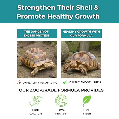 Tortoise Resource Center Baby Sulcata Food with Calcium - Human Grade Scientifically Formulated Diet for Healthy Growth - 4.5 oz 30-Day Supply for Grassland Tortoise Lovers! - Image 5