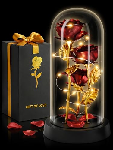 KETAR Rose in Glass Dome with LED Lights in Gift Box — Gifts for Mom, Grandma, Wife, Girlfriend, Birthday Gifts for Women, Lighted Glass Rose — Romantic Forever Flowers, Battery Powered Home Decor (Red) - Image 1