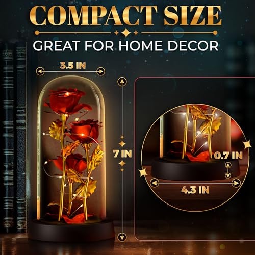 KETAR Rose in Glass Dome with LED Lights in Gift Box — Gifts for Mom, Grandma, Wife, Girlfriend, Birthday Gifts for Women, Lighted Glass Rose — Romantic Forever Flowers, Battery Powered Home Decor (Red) - Image 2