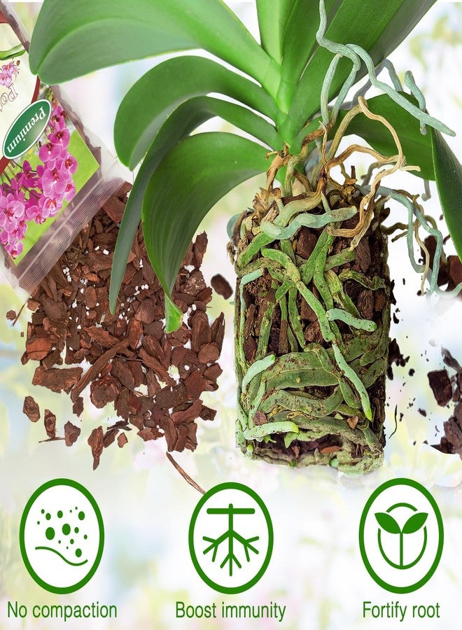 POLIUMB Orchid Bark Potting Mix,Premium Orchid Potting Mixture of Pine Bark and Perlite,Good Ventilation and Water Retention for Repotting Orchids and Growing Indoor Plants,2QT - Image 3