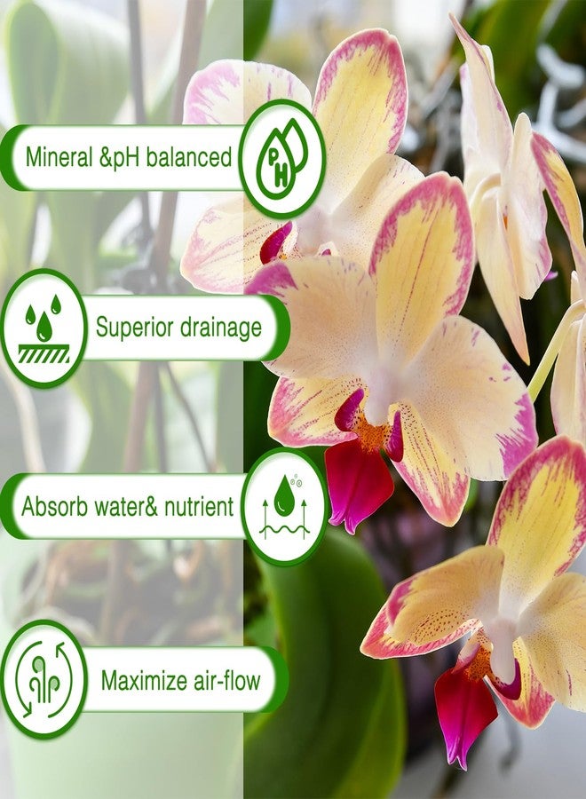 POLIUMB Orchid Bark Potting Mix,Premium Orchid Potting Mixture of Pine Bark and Perlite,Good Ventilation and Water Retention for Repotting Orchids and Growing Indoor Plants,2QT - Image 5