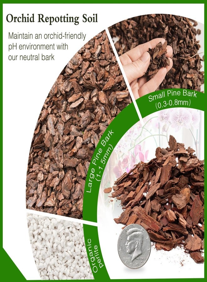 POLIUMB Orchid Bark Potting Mix,Premium Orchid Potting Mixture of Pine Bark and Perlite,Good Ventilation and Water Retention for Repotting Orchids and Growing Indoor Plants,2QT - Image 2