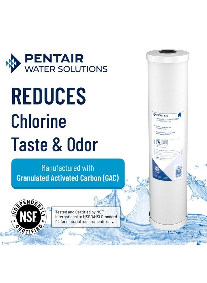 Pentek Pentair Pentek RFC-BB Big Blue Carbon Water Filter, 10-Inch, Whole House Heavy Duty Radial Flow Carbon Replacement Cartridge with Granular Activated Carbon (GAC) Filter, 10" x 4.5", 25 Micron - Image 2
