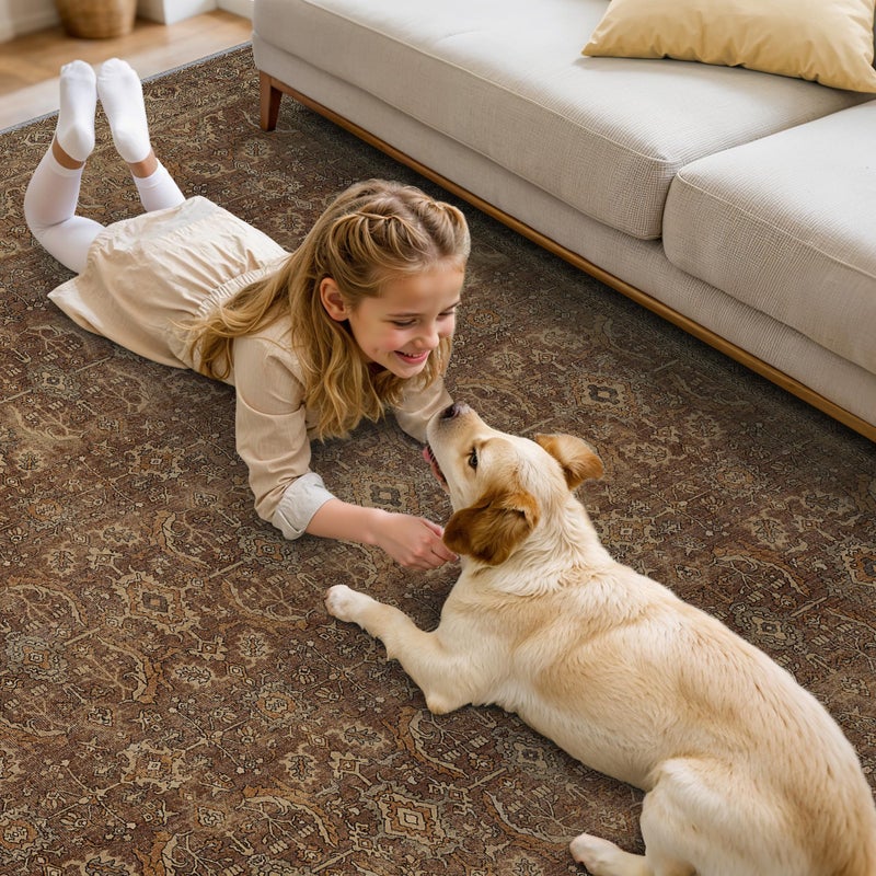 BESBLEE 8X10 Area Rugs Machine Washable Rugs for Living Room, Vintage Boho Large Rugs for Bedroom Dining Room, Non Slip Indoor Soft Distressed Lightweight Thin Low Pile Carpet, Rustic Brown - Image 4