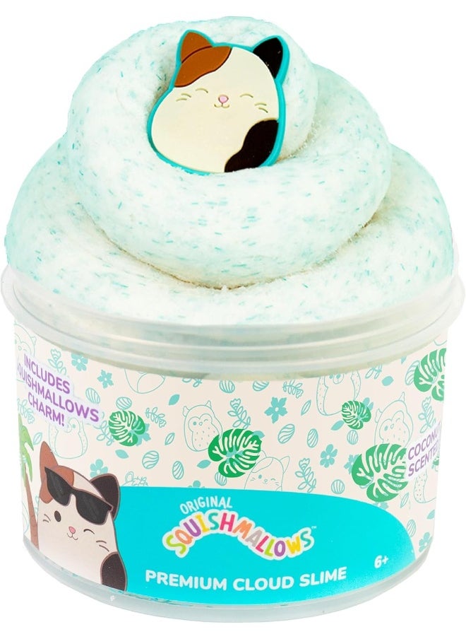 Squishmallows Cam the Cat Coconut Scented Premium Cloud Slime - pzsku/ZCF5C7965EAC4FB180324Z/45/_/1740659691/33b9d721-1f98-4693-9687-5eade085f5d6