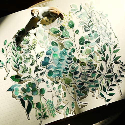 56PCS Middle Size Plants Scrapbook Stickers  Doraking DIY Decoration Transparent Sulfuric Paper Plants Stickers for Scrapbook Decoration Without Repeat