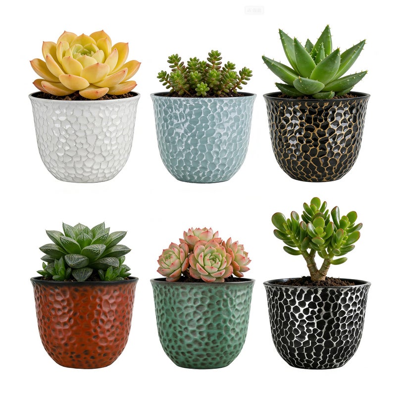 Worth Garden Plastic Round 8 Inch Planters for Indoor Plants Set of 6 Outdoor Resin Flower Pots Colorful with Drainage Hole Rubber Plug Retro Appearance Home Christmas Decorative Containers Multicolor - Image 1