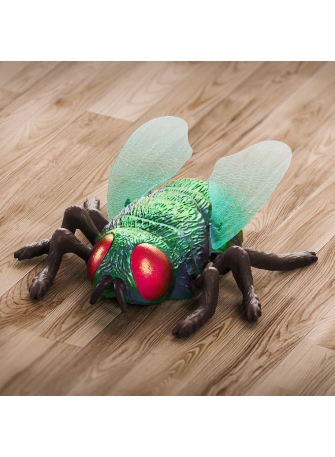 Terra RC Climbing Fly - Image 1