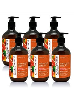 Natural Solution Natural Solution Liquid Soap Formulated with Organic Blood Orange  Himalayan Pink Salt Nourishing and Moisturizing Hand Wash  14 oz Each 6 Pack 8647B6PK 