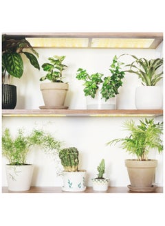 ماركة غير محددة مجموعة إضاءة LED للزراعة مكونة من أربعة مقاس 30x8 سم  - Image 4