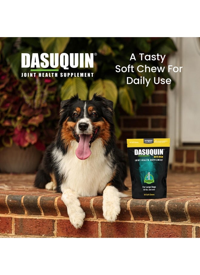 Nutramax Laboratories Nutramax Laboratories Dasuquin with MSM Joint Health Supplement for Large Dogs - With Glucosamine, MSM, Chondroitin, ASU, Boswellia Serrata Extract, and Green Tea Extract, 84 Soft Chews  - Image 4