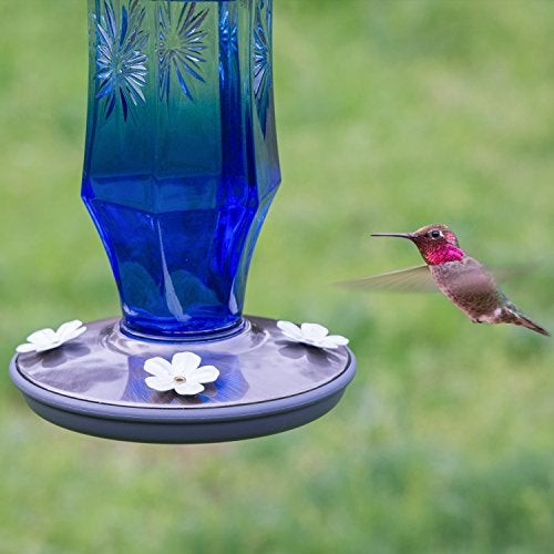 Perky-Pet Sapphire Starburst Vintage Glass Hummingbird Feeder 8129-2 - Image 3