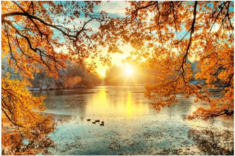 999Store Printed Yellow Leaves Tree and Lake Painting Wall Art (Canvas_36X24 Inches_Multi) - Image 2