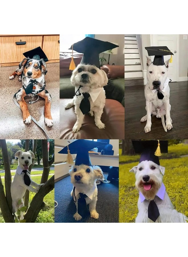 AUOCATTAIL Cat Dog Graduation Cap and Gow | Black Cat Dog Graduation Hats with Necktie | Pet Cosplay for Small Medium Large Dogs Cats Graduation Party Accessory - Image 4