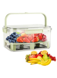 Excefore Fruit Storage Berry Keeper Container with Lid and Handle, Portable Food Saver with Ice Pack, Keeps Fruit, Vegetables, Meat Fresh, Ideal for Picnic, Office, Refrigerator, Fridge (Green)  - Image 1